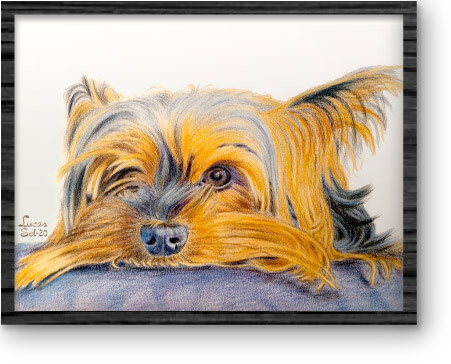 dibujo-mascota_03