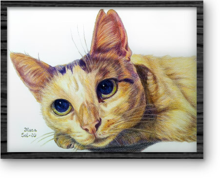 dibujo-mascota_06