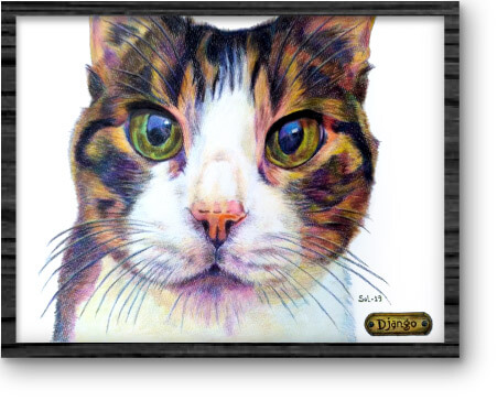 dibujo-mascota_08