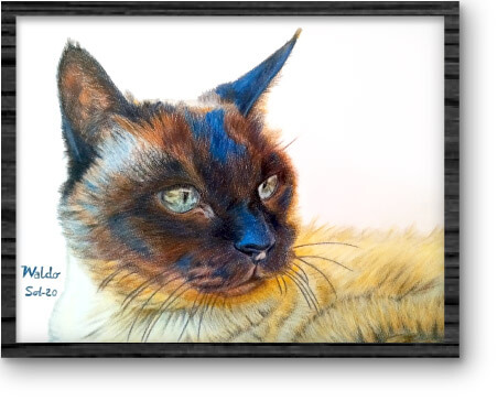 dibujo-mascota_10
