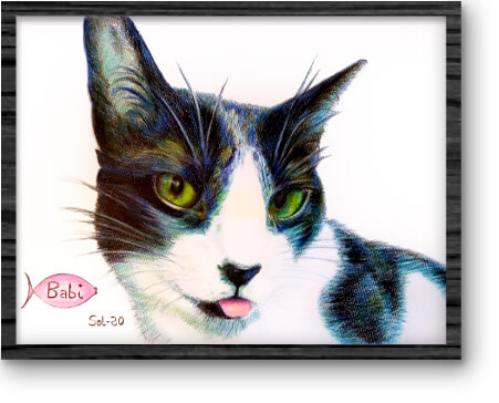dibujo-mascota_12