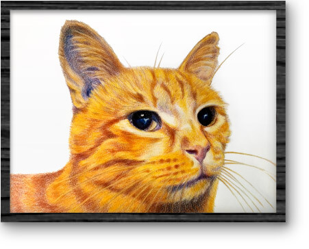 dibujo-mascota_14
