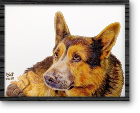dibujo-mascota_16