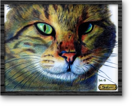 dibujo-mascota_18