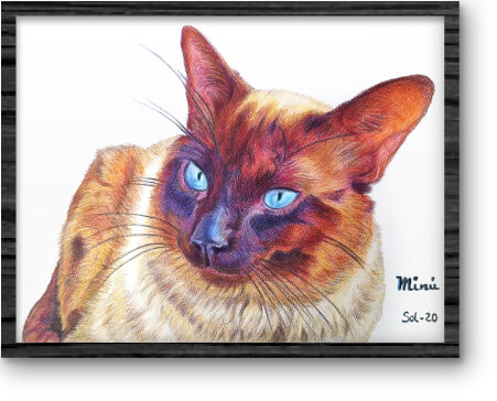 dibujo-mascota_20